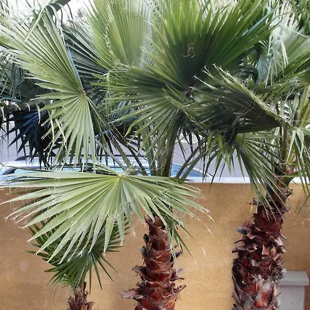 דירה Le Kalouki